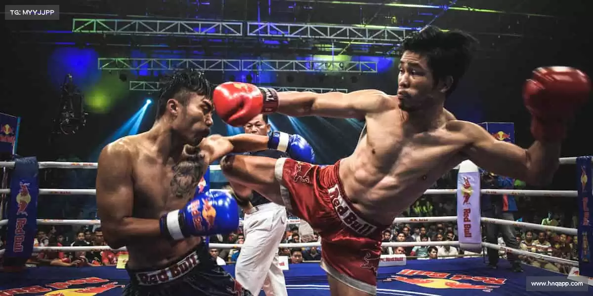 为什么选择我们